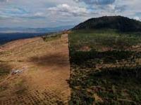 México alcanza los 32.1 millones de hectáreas para uso agrícola: Inegi